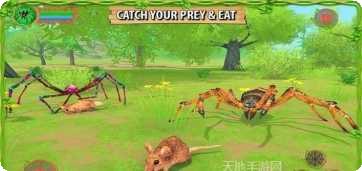 蜘蛛模拟器游戏下载