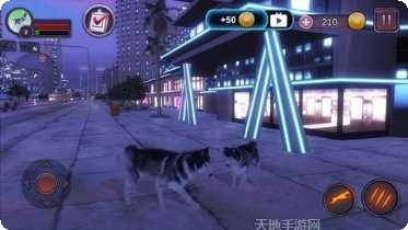 哈士奇的跳跃之路游戏攻略