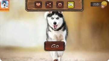 哈士奇的跳跃之路下载地址