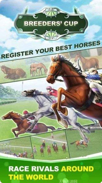 德比赛马攻略大全