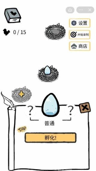 小鸡真奇怪最新版本
