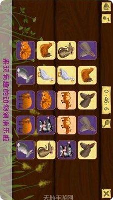 托卡小家宠物世界角色大全