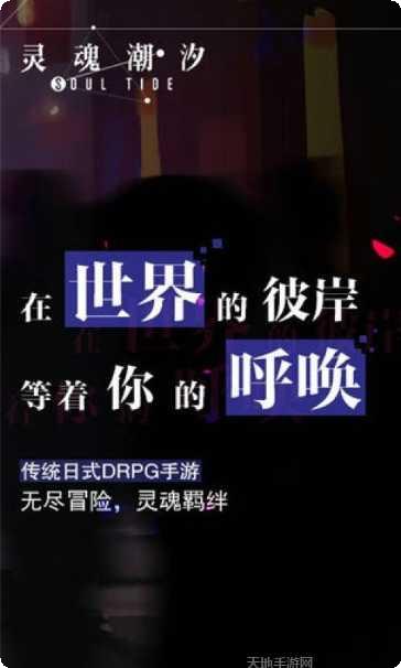 灵魂潮汐九游版下载地址
