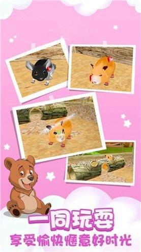 动物狂欢玩法解析