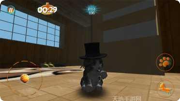 真实小猫3D模拟玩法介绍