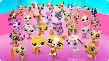 小小宠物世界社区交流