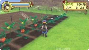 牧场物语疯狂冲刺攻略