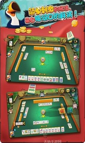 七星耒阳棋牌安卓版