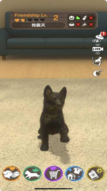 我的梦想小吃店经营攻略