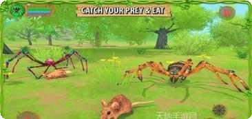 蜘蛛模拟器攻略