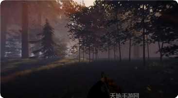 寻找大脚怪森林追踪