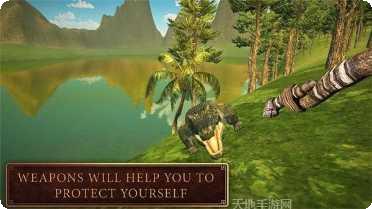 野外生存模拟技巧分享