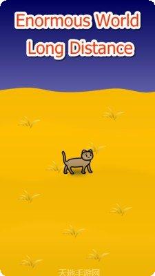 流浪猫咪求生技巧