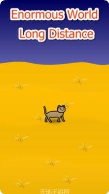 流浪猫咪求生心得