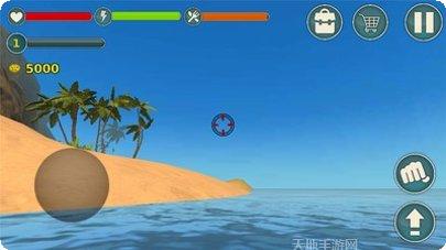 我的海豚表演秀玩法介绍