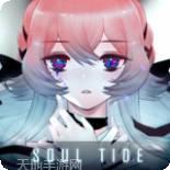 灵魂潮汐九游版