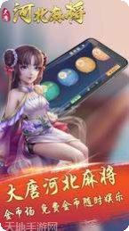 大唐河北麻将下载