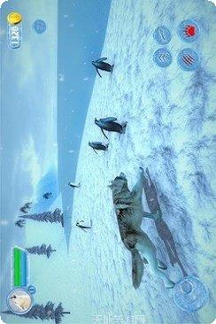北极狼模拟器玩法介绍
