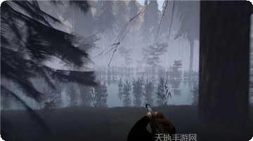 寻找大脚怪神秘森林