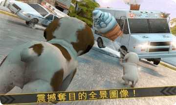 超级小汪大闯关最新版本