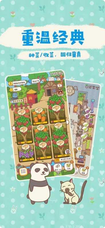 口袋菜地新手教程