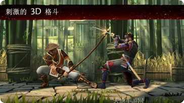 暗影格斗忍者世界下载