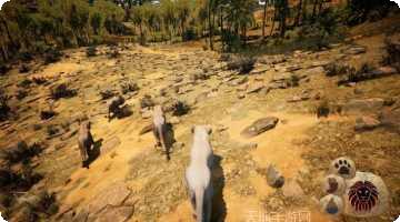 Animals Shapes拼图游戏