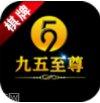 九五至尊游戏攻略
