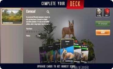 Animals Shapes拼图游戏