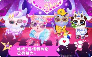 天才宠物秀游戏攻略