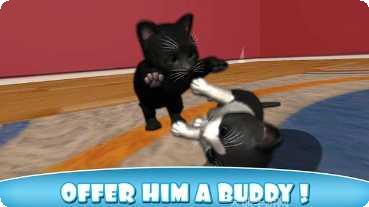 猫咪小屋合成喵喵攻略