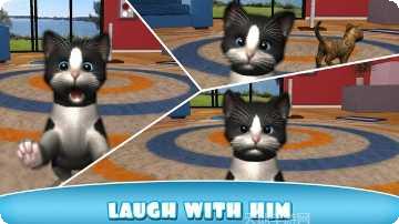 猫咪小屋合成喵喵宠物收集