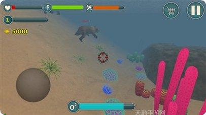 我的海豚表演秀最新版本