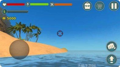 我的海豚表演秀怎么玩