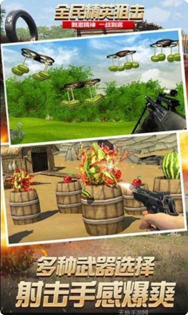 全民精灵王角色推荐