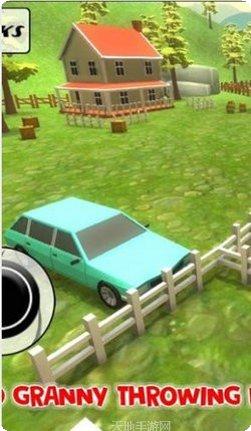 神奇的老太太角色介绍