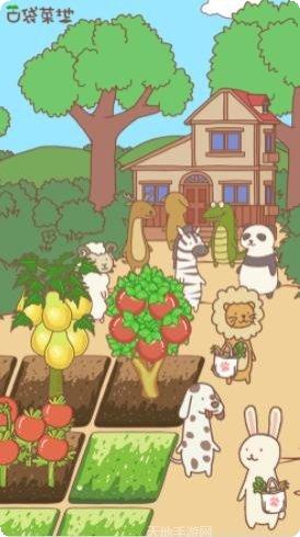 口袋菜地金币赚取方法