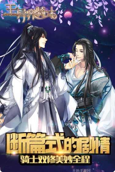 王与异界骑士剧情介绍