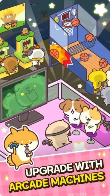 动物玩具赛车攻略大全