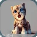 真实小猫3D模拟