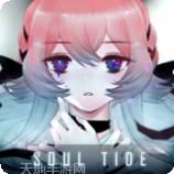 灵魂潮汐九游版