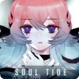 灵魂潮汐九游版