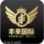 丰来国际