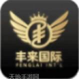 丰来国际