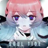 灵魂潮汐九游版