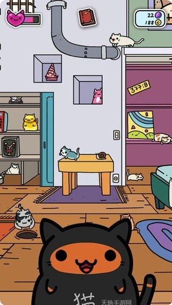 小偷猫猫下载地址