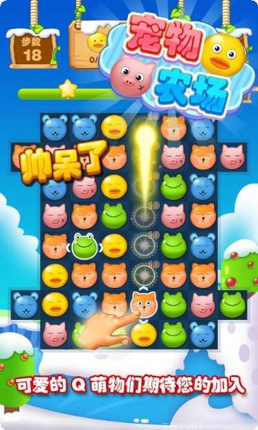 宠物农场装饰技巧