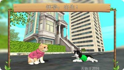 猫咪模拟器中文版宠物养成