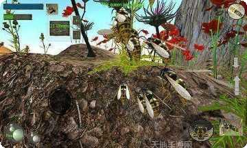 大黄蜂机器人模拟器3D角色解锁