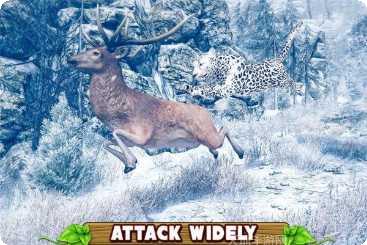 愤怒的兔子们角色介绍